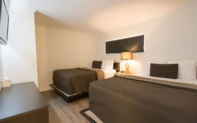 Photo 2 - Hibiscus Suites - Gateway to Siesta Key