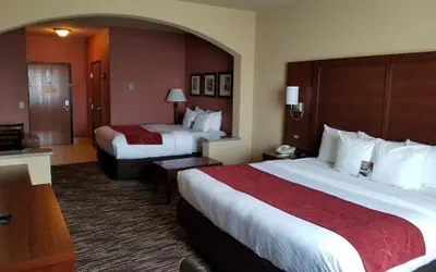 Photo 4 - Comfort Suites McAllen Airport and La Plaza Mall