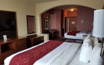 Photo 3 - Comfort Suites McAllen Airport and La Plaza Mall