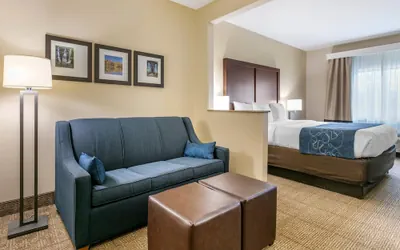 Photo 2 - Comfort Suites Batesville