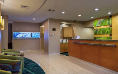 Photo 3 - SpringHill Suites by Marriott St. Petersburg Clearwater