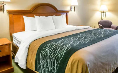 Photo 5 - Comfort Inn & Suites Las Cruces Mesilla