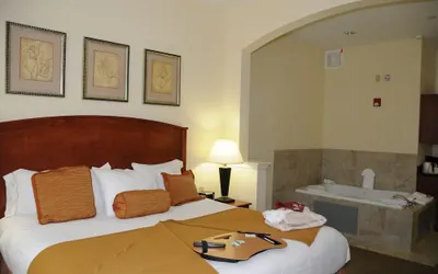 Photo 5 - Holiday Inn Express Hotel & Suites Dallas-Grand Prairie I-20 by IHG