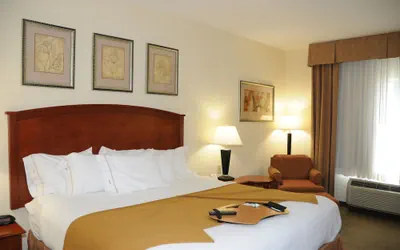 Photo 4 - Holiday Inn Express Hotel & Suites Dallas-Grand Prairie I-20 by IHG