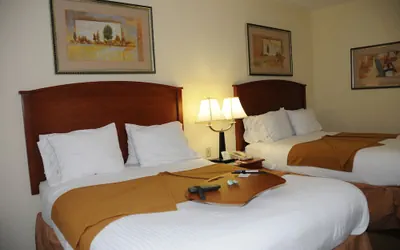 Photo 3 - Holiday Inn Express Hotel & Suites Dallas-Grand Prairie I-20 by IHG