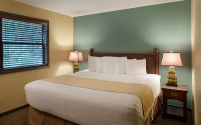 Photo 4 - Hilton Vacation Club Christmas Mountain Village
