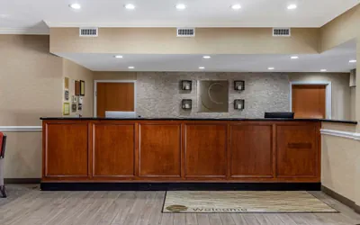 Photo 3 - Comfort Inn & Suites Orangeburg