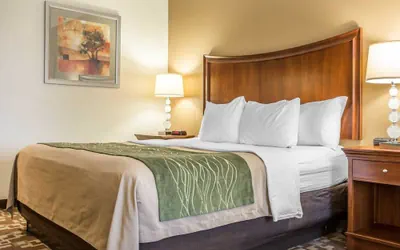Photo 5 - Comfort Inn & Suites Orangeburg