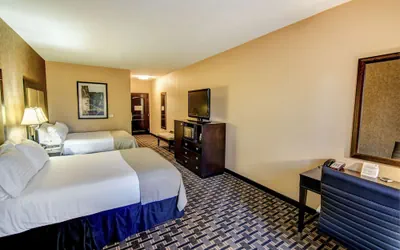 Photo 4 - Holiday Inn Arlington NE-Rangers Ballpark by IHG