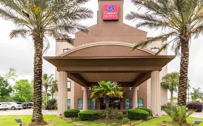 Photo 2 - Comfort Suites Beaumont I-10