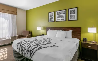 Photo 5 - Sleep Inn & Suites Columbia I-65