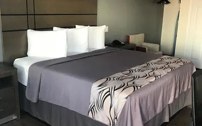 Photo 5 - Crystal Inn & Suites IAH Humble