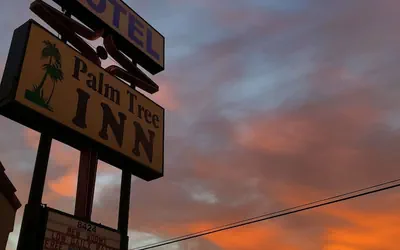 Photo 5 - Palm Tree Inn