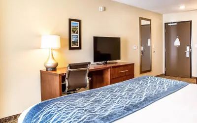 Photo 4 - Comfort Inn & Suites Niagara Falls Blvd USA