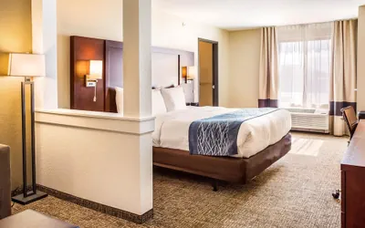 Photo 5 - Comfort Inn & Suites Niagara Falls Blvd USA