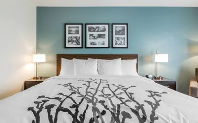 Photo 5 - Sleep Inn & Suites Ankeny - Des Moines