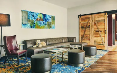 Photo 3 - The Draftsman, Charlottesville, University, Autograph Collection Hotel