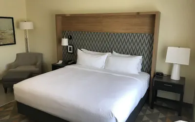 Photo 3 - Holiday Inn & Suites Arden - Asheville Airport by IHG