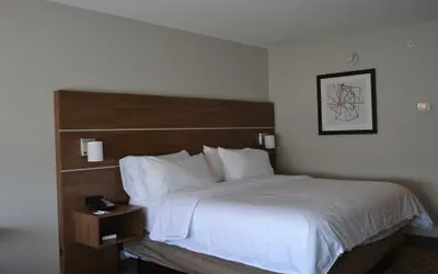 Photo 5 - Holiday Inn Express & Suites Goodlettsville N - Nashville by IHG