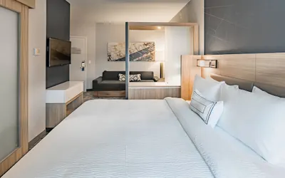 Photo 4 - SpringHill Suites by Marriott Dallas McKinney/Allen
