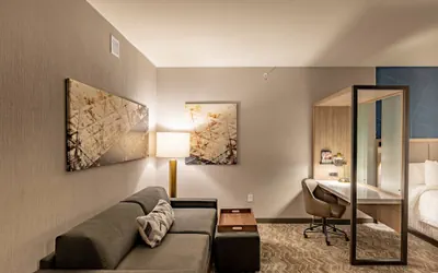 Photo 2 - SpringHill Suites by Marriott Dallas McKinney/Allen