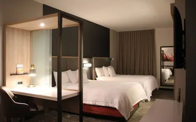 Photo 5 - SpringHill Suites Baltimore White Marsh/Middle River