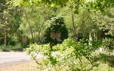 Photo 2 - Hidden Pond