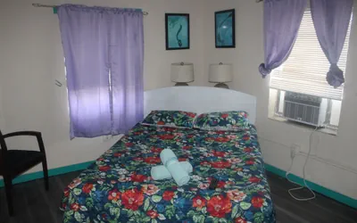 Photo 5 - Hoosville Hostel
