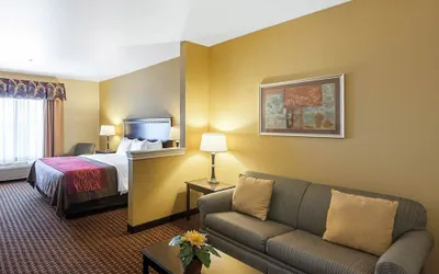 Photo 2 - Comfort Inn & Suites Regional Medical Center