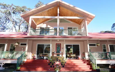 Volcano Forest Inn
