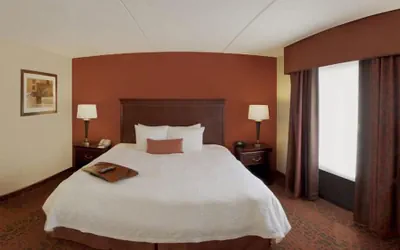 Photo 5 - Hampton Inn Rochester Webster