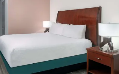 Photo 5 - Hilton Garden Inn Tampa/Riverview/Brandon