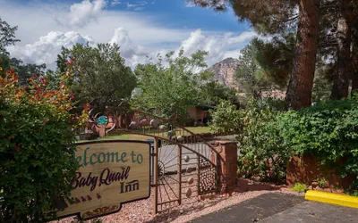 Photo 2 - Baby Quail Inn