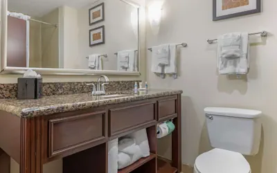 Photo 3 - Comfort Suites West Dallas - Cockrell Hill