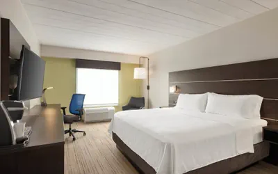 Photo 3 - Holiday Inn Express Hotel & Suites Fort Myers East - The Forum by IHG