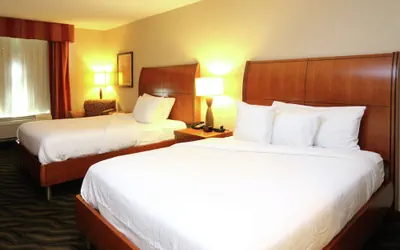Photo 4 - Hilton Garden Inn Chesapeake/Suffolk