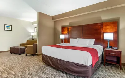 Photo 5 - Comfort Suites Smyrna - Nashville Area