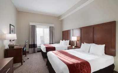 Photo 5 - Comfort Suites Suffolk - Chesapeake
