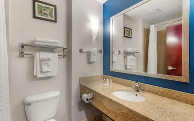 Photo 5 - Comfort Suites Atlanta Airport