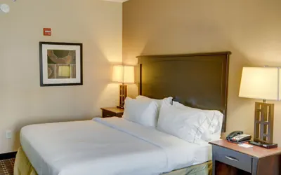 Photo 5 - Holiday Inn Express Hotel & Suites Texarkana East by IHG