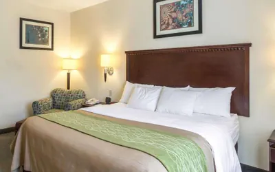 Photo 4 - Quality Inn Donaldsonville - Gonzales