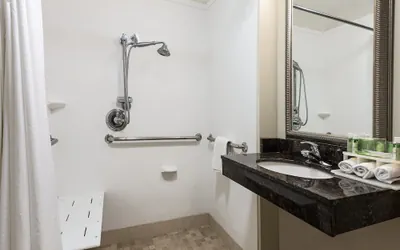 Photo 3 - Holiday Inn Express Hotel & Suites Clute - Lake Jackson by IHG