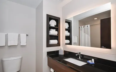 Photo 3 - Holiday Inn Express & Suites Charlotte Southeast - Matthews by IHG