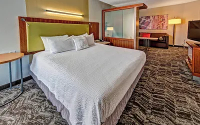 Photo 4 - Springhill Suites by Marriott Moore