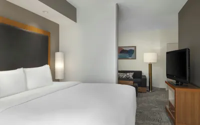 Photo 4 - Springhill Suites by Marriott Winston-Salem Hanes Mall