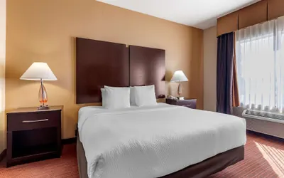 Photo 5 - Best Western Plus DFW Airport West Euless