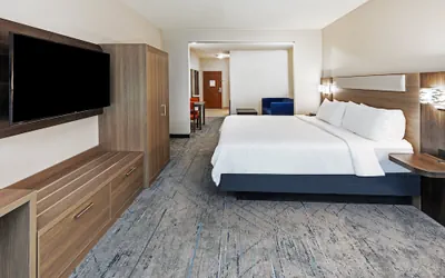 Photo 5 - Holiday Inn Express Hotel & Suites - Houston Space Center by IHG