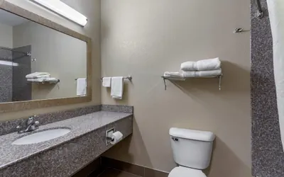 Photo 5 - Comfort Inn & Suites Carbondale University Area