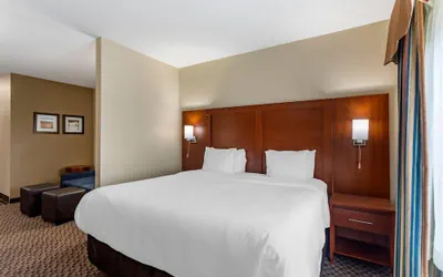 Photo 2 - Comfort Inn & Suites Carbondale University Area