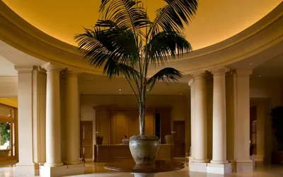 Photo 3 - The Resort at Pelican Hill